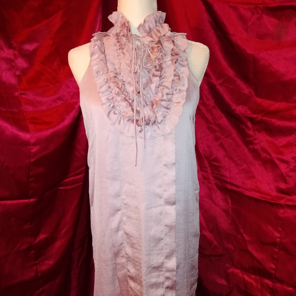 Pink Ruffle Top Dress - Picture 3 of 5